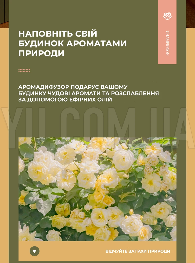 Зволожувач та ароматизатор повітря [39], дифузор ефірних олій, нічник, аромалампа